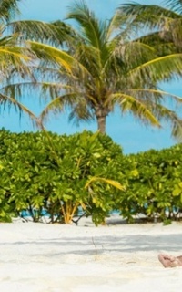 Шлюха Лика 28345